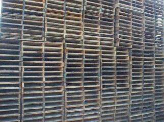 gmas.jpg (12880 bytes)